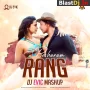 Besharam Rang (Mashup) - DJ Evic